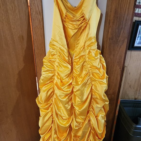 Beauty and the Beast formal gown - Picture 5 of 5